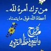 user2598971051631