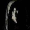 noahm_23157