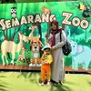 icarahma27