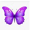Andhana_Scorpio