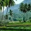 semenanjung.75