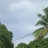 video_mnarik