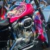 bella_harley_gypsy_queen