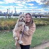 winniethepoo.nyc