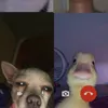 bonjng