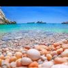 salimalger2025