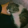 cuzmeei
