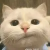 hiwfj0