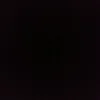 ruti_14708