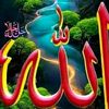 irfanshakh82