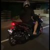 reynalalzein_