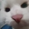 no_sleep_till_3