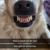 basti_o6