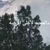 user7099527758636