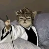 aizen_cat