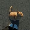 chanez_ab5