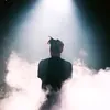 stepanic