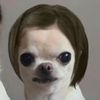 theladysandworm