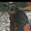gavipa_07