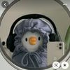 mayapillay8