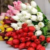 shaimaaalazzawi0