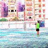 shoshabdallh