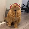 kekekakkakakak