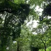 kanasi08