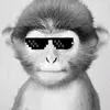 _white_monke