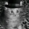 dana_super_8