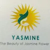 yasmine.51