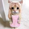 sofig2219