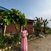 dipshikhalamsal0