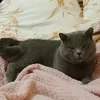 anna_kv12