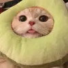 slvnml