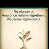 Bir garip kul