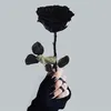 lynh__90