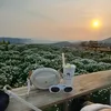 thaicherry20