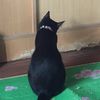 nizaa_0510