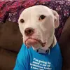 apppoyoch