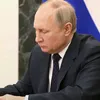 putinbop