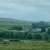 sharksarentgroovy