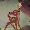 laavynaa