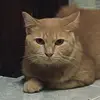 imbiasebiaseje
