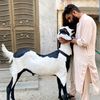 sheikhputtar001