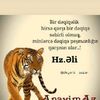 user9397090216236