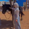 sarahan061