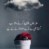 user026091424