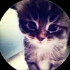 catherine_kotryna