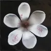 imane513